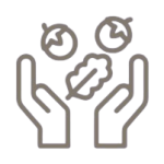 DC_ICONOS-11